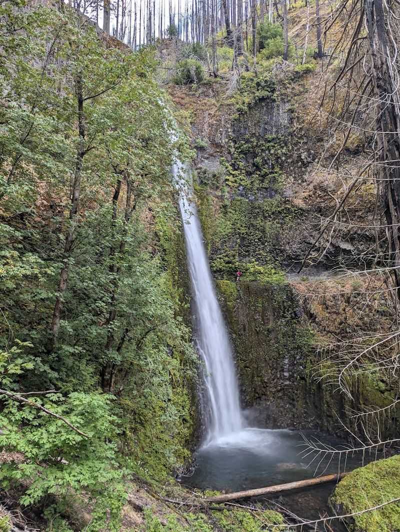 Tips for Planning Your Visit to Tunnel Falls