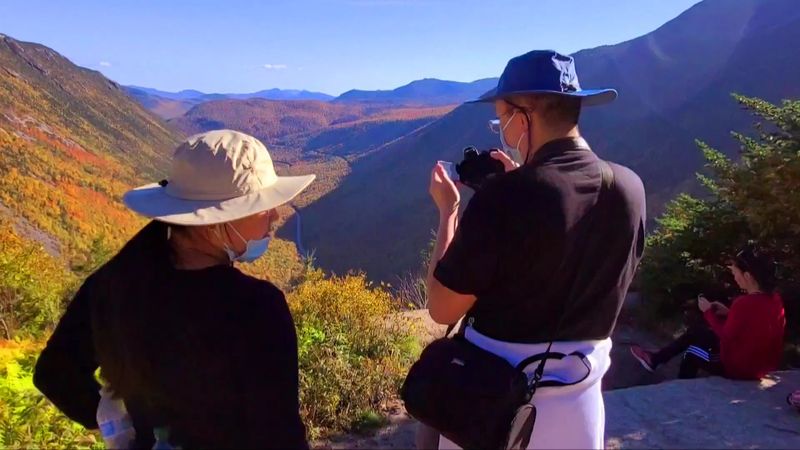 Tips for Timing Your Visit Like a Pro Tips for Timing Your Visit Like a Pro