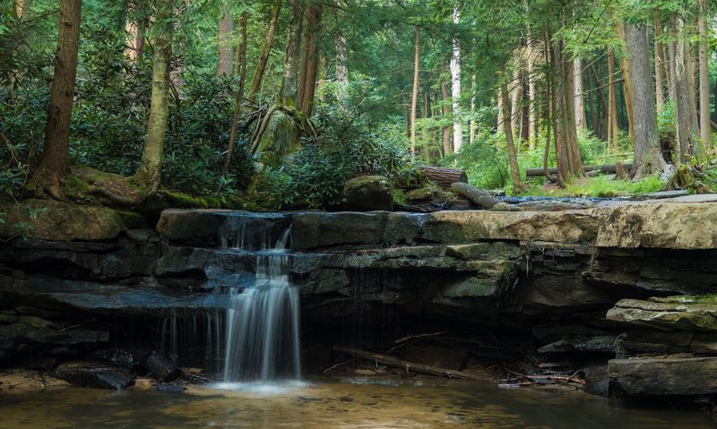 Tolliver Falls Tolliver Falls