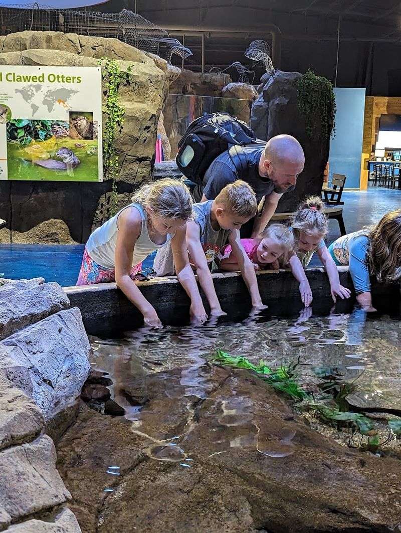 Touch Pools That Turn Adults Into Wide-Eyed Kids Again Touch Pools That Turn Adults Into Wide-Eyed Kids Again