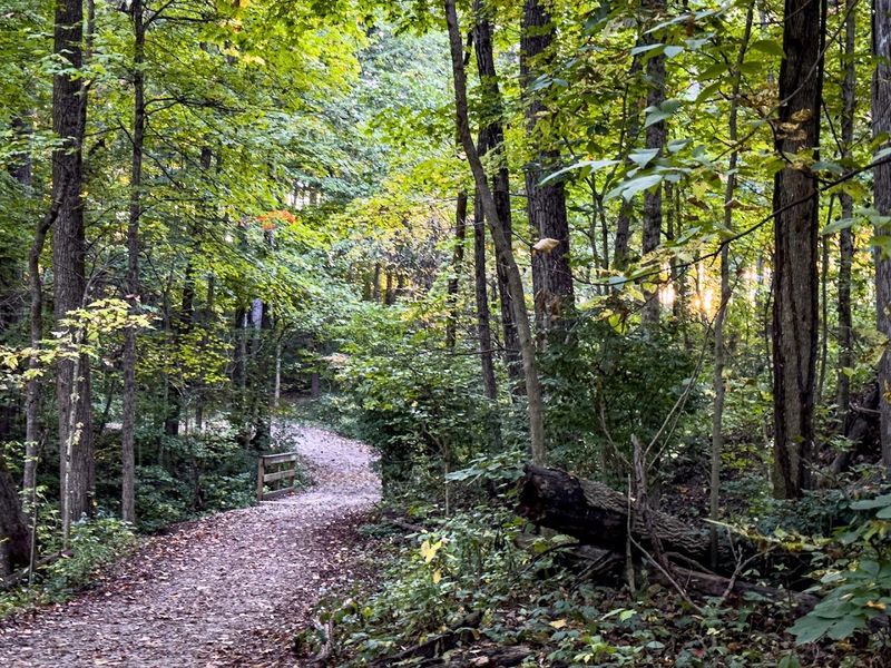 Trail 1: The Easy One-Mile Path That Starts It All Trail 1: The Easy One-Mile Path That Starts It All