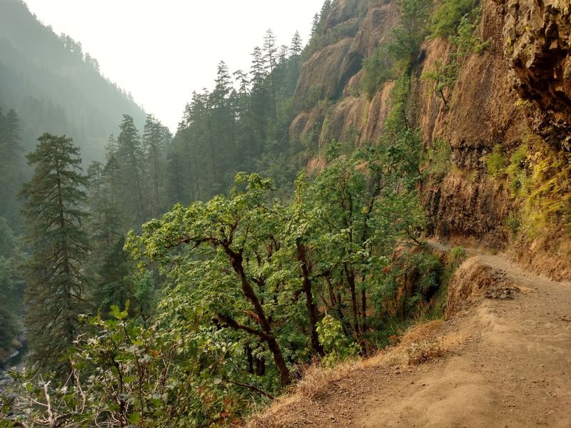 Trail Conditions, Closures, and What to Expect