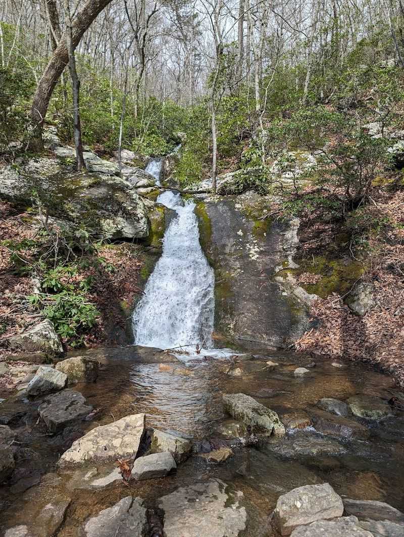 Trail Conditions and What to Expect Season by Season Trail Conditions and What to Expect Season by Season