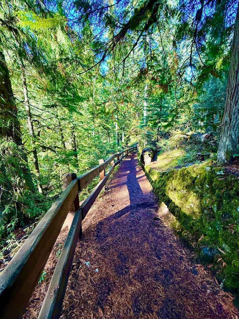 Trail Difficulty and What to Realistically Expect