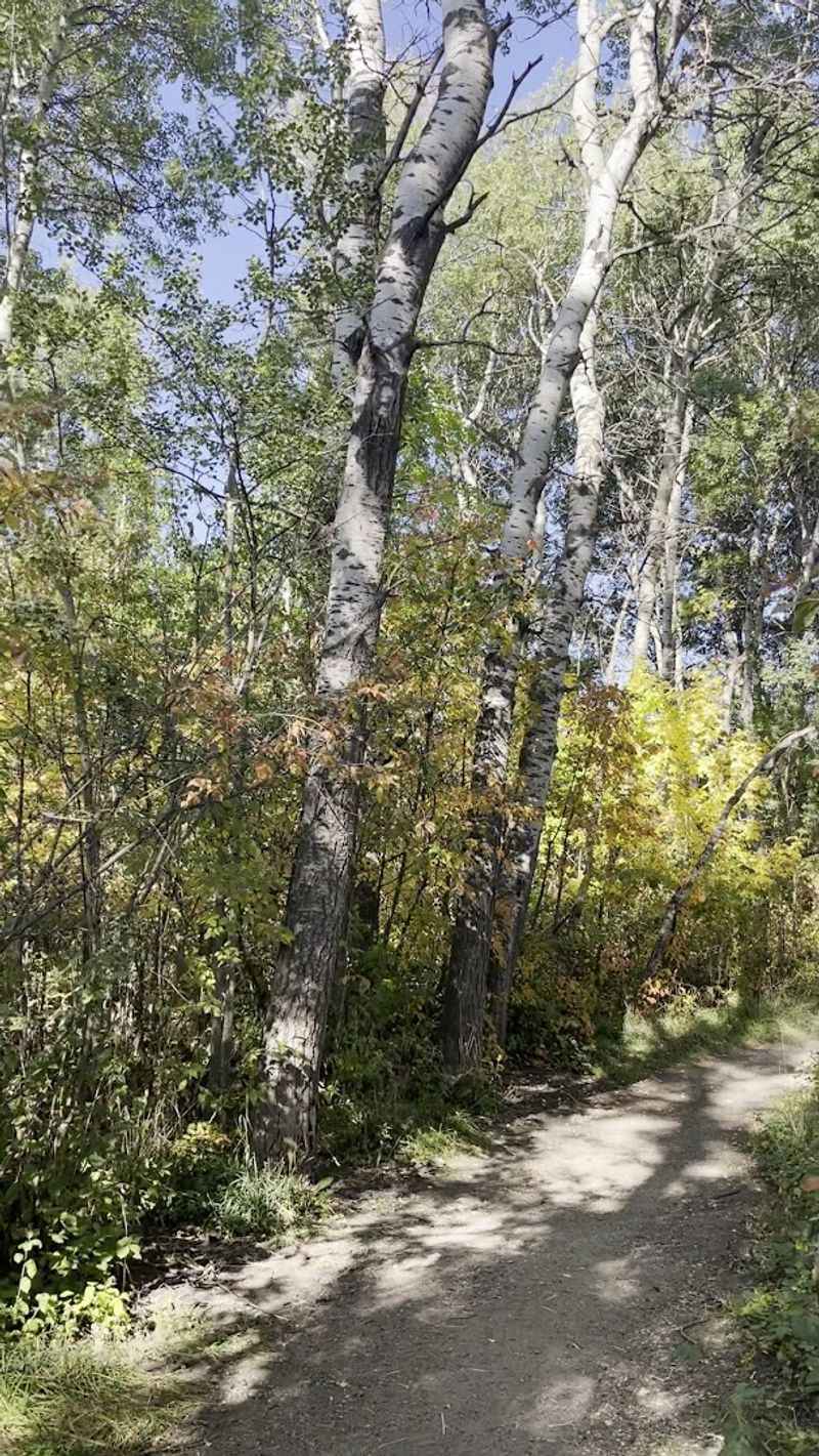 Trails, Bouldering, and the Joy of Exploring on Foot Trails, Bouldering, and the Joy of Exploring on Foot