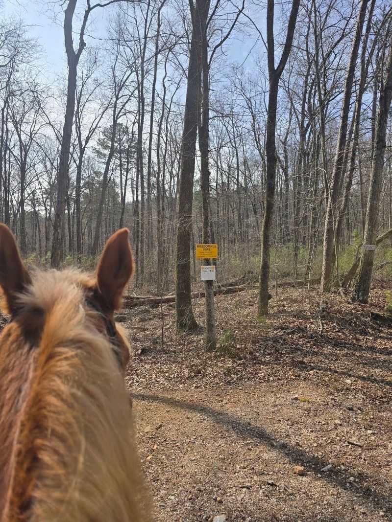 Trails Hand-Built by Dedicated Volunteers You Can Actually Feel the Love In