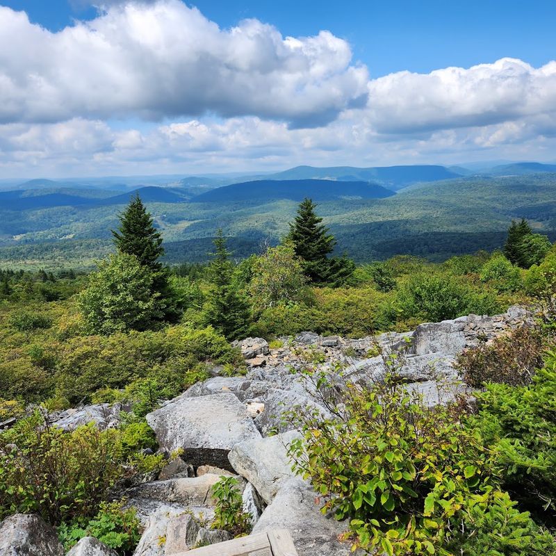 Trails Offering Infinite Ways to Get Lost in the Best Way Trails Offering Infinite Ways to Get Lost in the Best Way