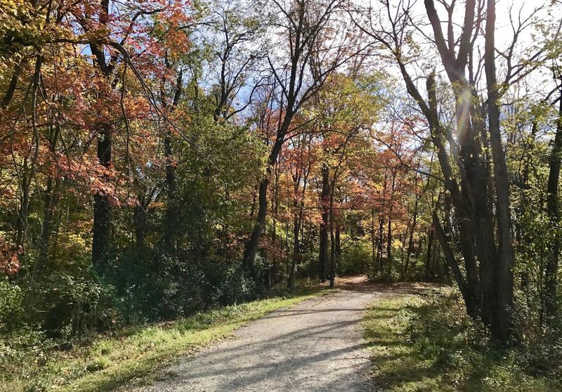 Trails That Break Up The Lake Day