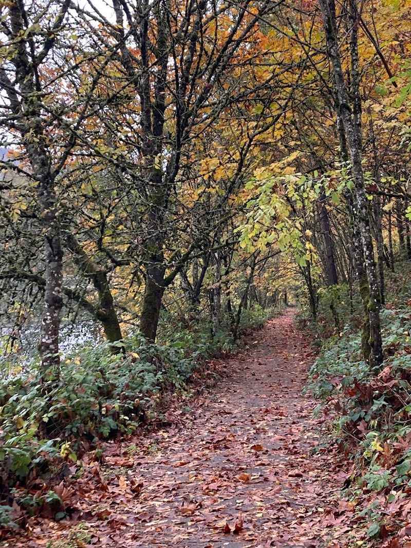 Trails That Change With Every Season Trails That Change With Every Season