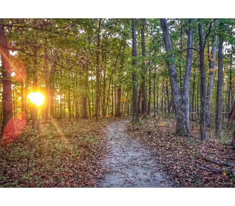 Trails That Keep The Day Going