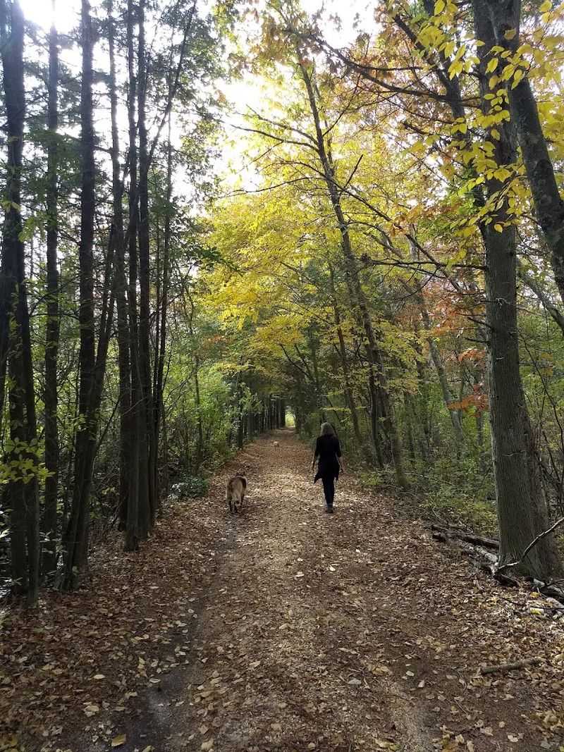 Trails That Lead You Into Hidden Beauty