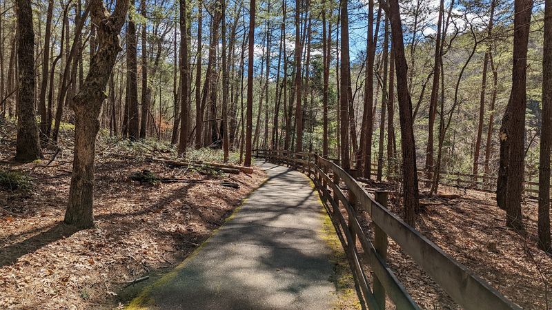 Trails That Take You Deep Into the Woods