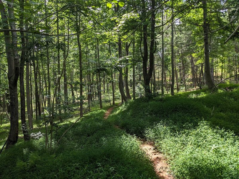 Trails That Take You Through History and Wilderness