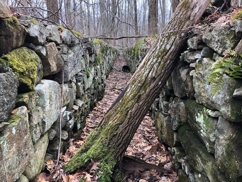 Trails That Wind Through Living History