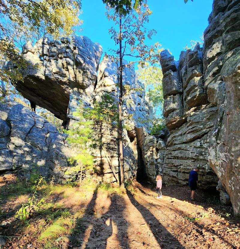 Trails Through Forest, Rock, and Hidden Wonders Trails Through Forest, Rock, and Hidden Wonders