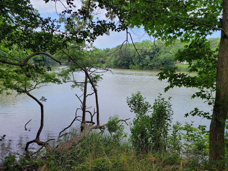 Trails Through Woodland and Wetland Trails Through Woodland and Wetland