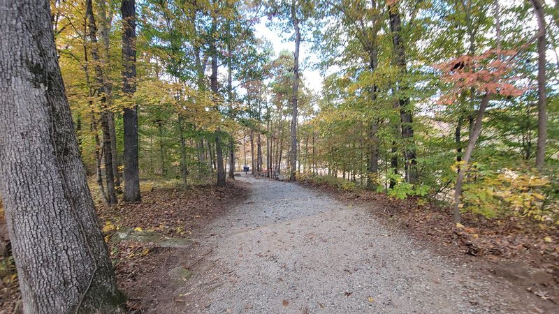 Trails and Tranquility: Exploring Beyond the Shoreline