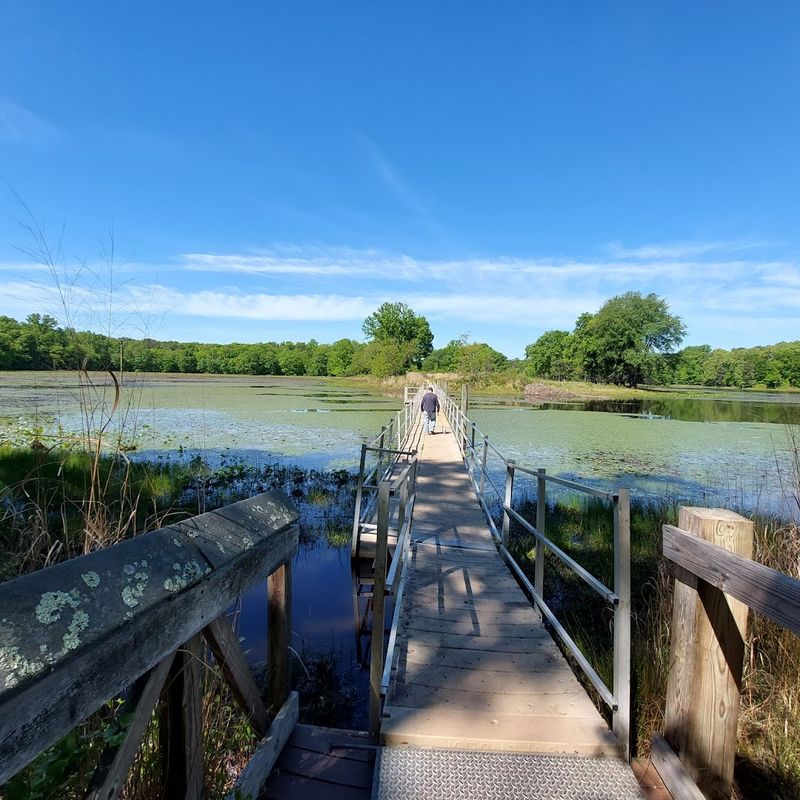 Trails for Every Kind of Visitor, From Easy Walks to Full Hikes