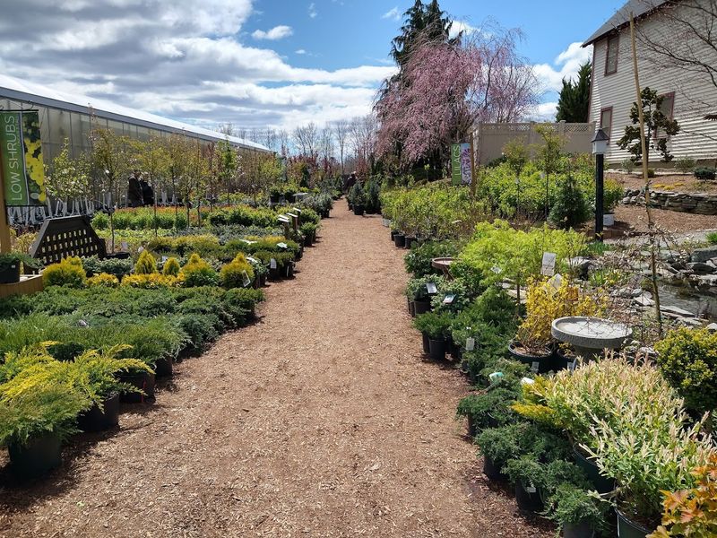 Trees, Shrubs, Vines, and Water Plants Galore