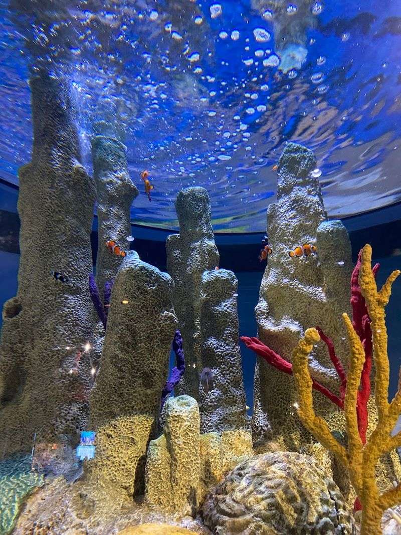 Tropical Reefs and Local Shorelines All in One Room Tropical Reefs and Local Shorelines All in One Room