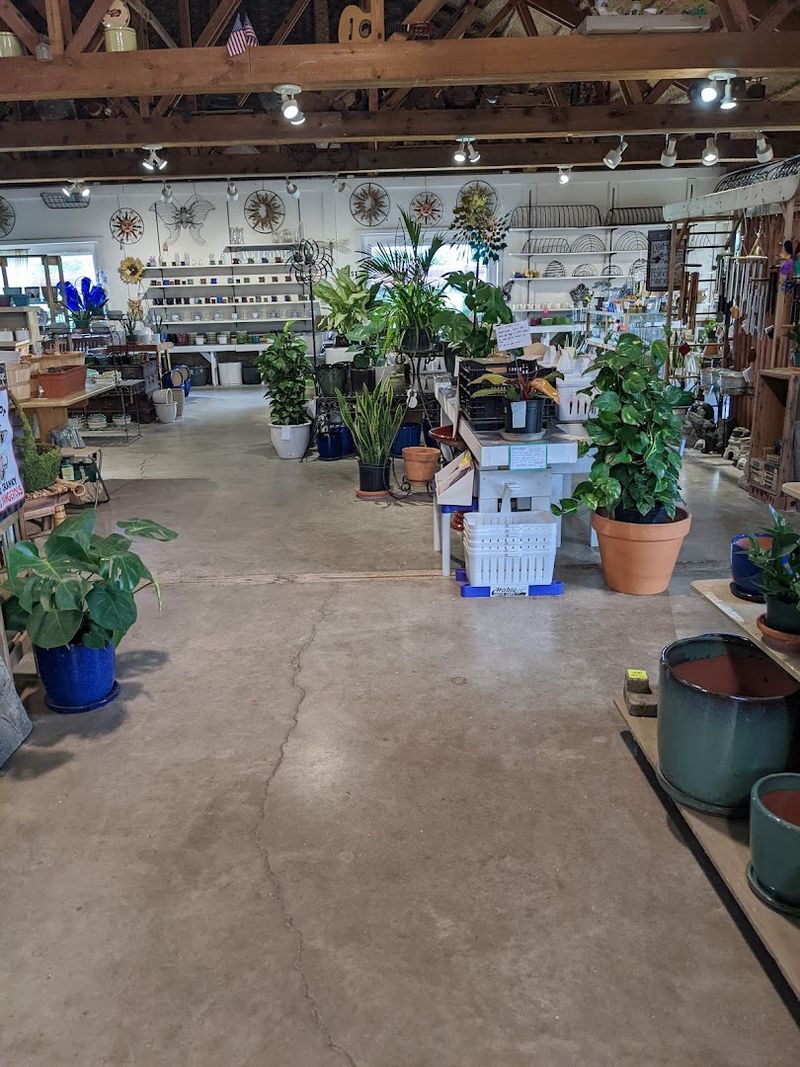 Try Getting Expert Plant Advice From Staff