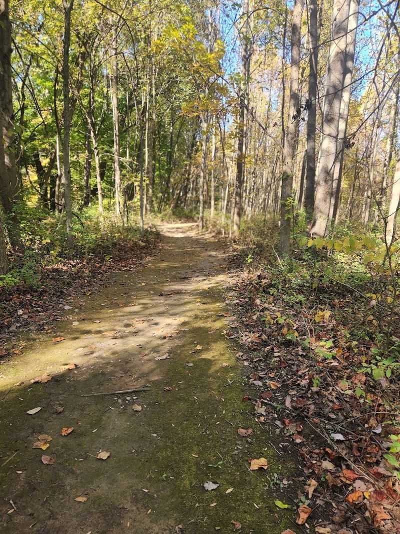 Try Hiking Moraine Nature Preserve Trails
