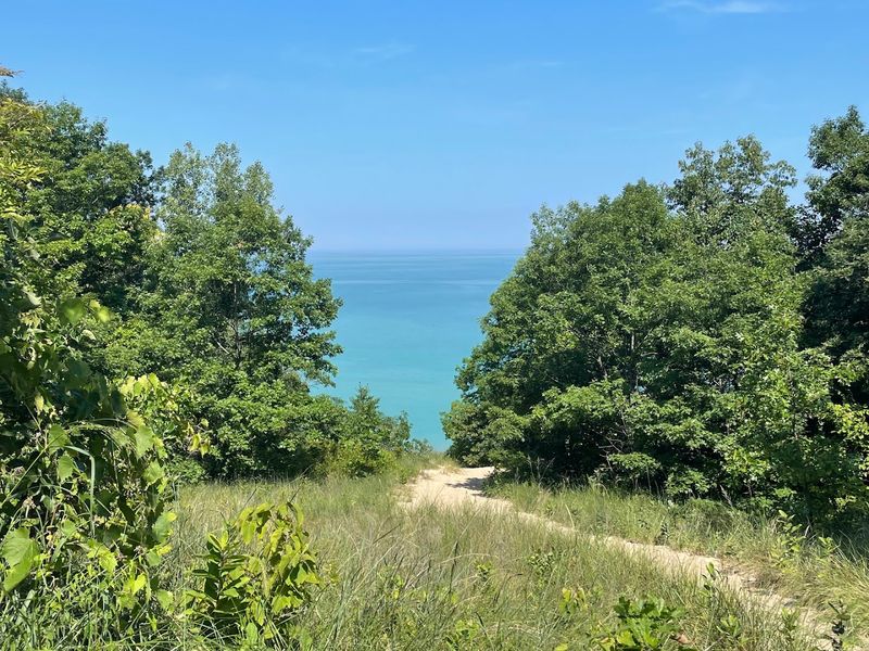 Try Hiking Through Deep Sand in a Forested Dune