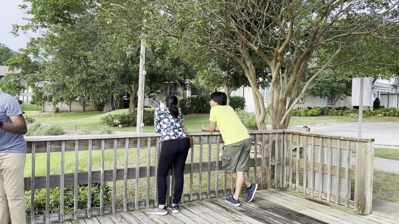 Try The Bluff-Top Tree Trail Near The Shore