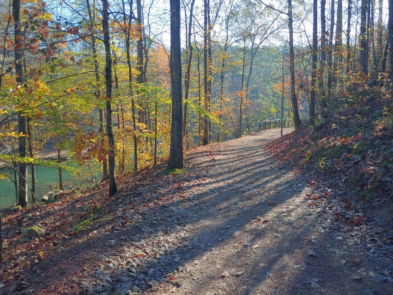 Try The Miniature Railroad Ride Through Pine Trees