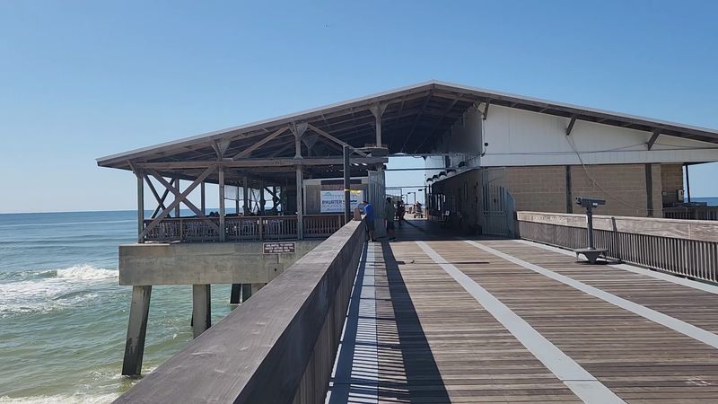 Try The Naturalist-Led Education Pier Walks