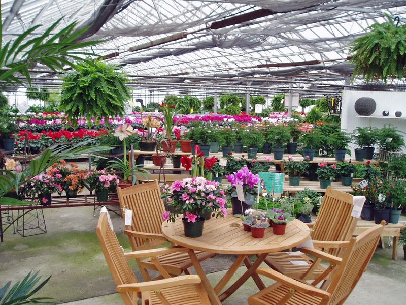 Try a Floral Design Workshop and Learn Something Real