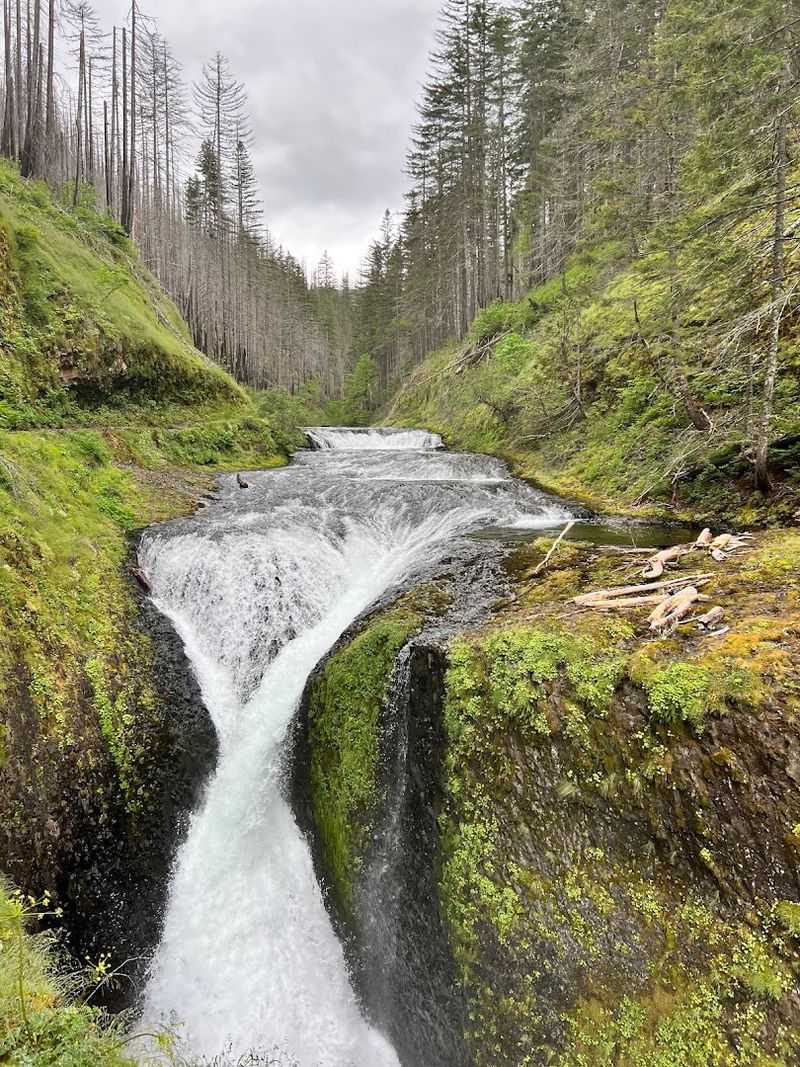Twister Falls, the Secret Bonus Just Beyond the Tunnel