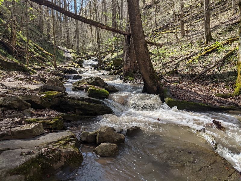 Two Miles, Dozens of Drops, and One Big Adventure