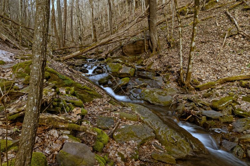 Two Miles That Feel Like a Lifetime of Views