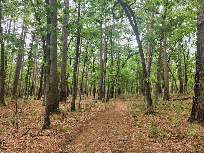 Tyler State Park, Tyler