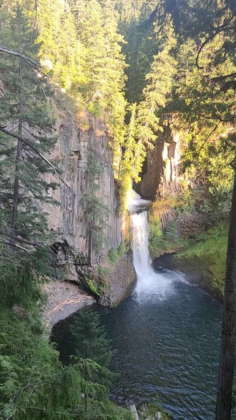 Umpqua National Forest
