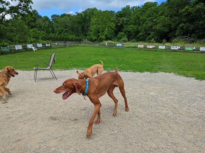 Vernon Dog Park