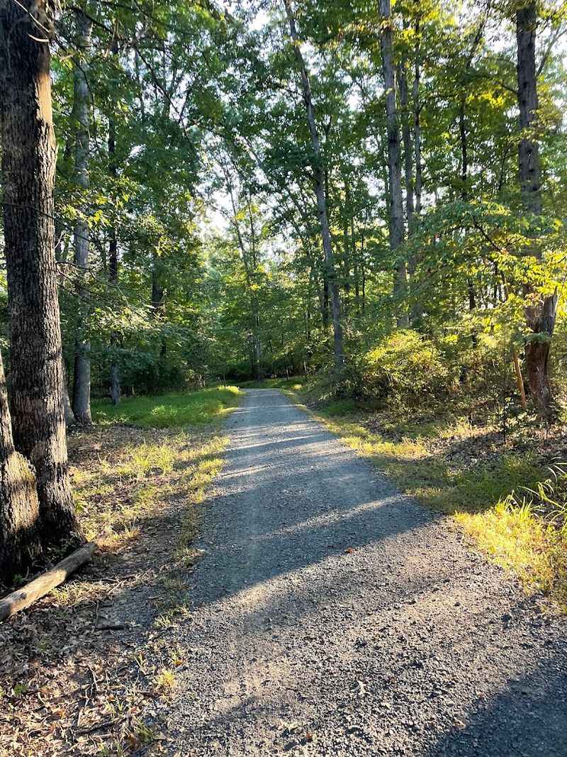 Vestal's Gap Road: An Ancient Trail That Shaped American History