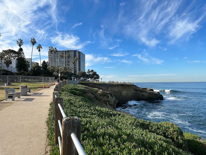 Views from Above: Ellen Browning Scripps Park and the Clifftop Perspective