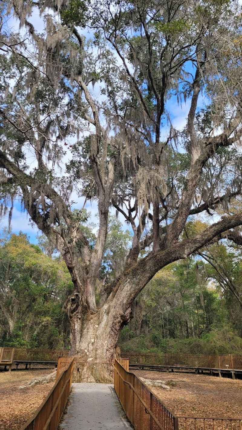 Village Point Park Preserve