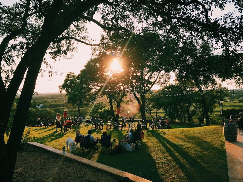 Vineyard Views and Bistro Evenings at Driftwood Estate