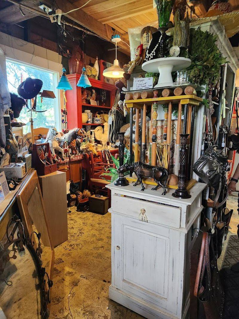 Vintage and Antique Finds on the Property
