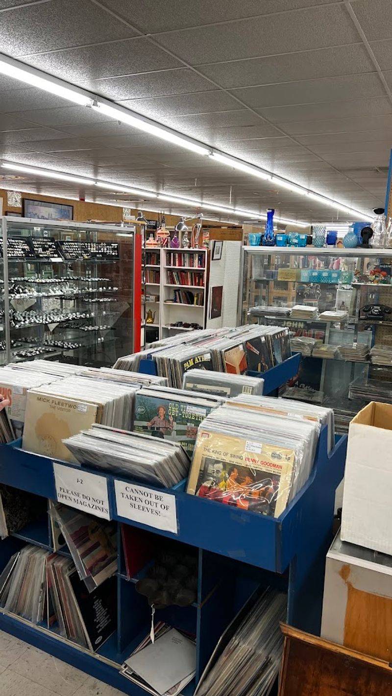 Vinyl Records and the Joy of Flipping Through Music History