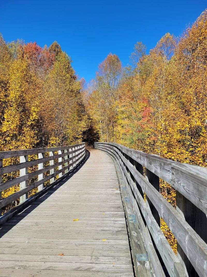 Virginia Creeper Trail: 34 Miles of Pure Appalachian Beauty Virginia Creeper Trail: 34 Miles of Pure Appalachian Beauty