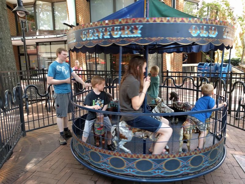 Visiting the Downtown Mall and the Carousel Experience Visiting the Downtown Mall and the Carousel Experience
