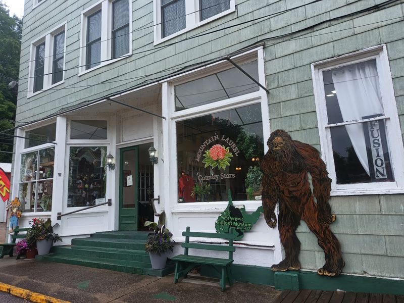 Visitors Leave Seeing Sasquatch In A Softer Light Visitors Leave Seeing Sasquatch In A Softer Light