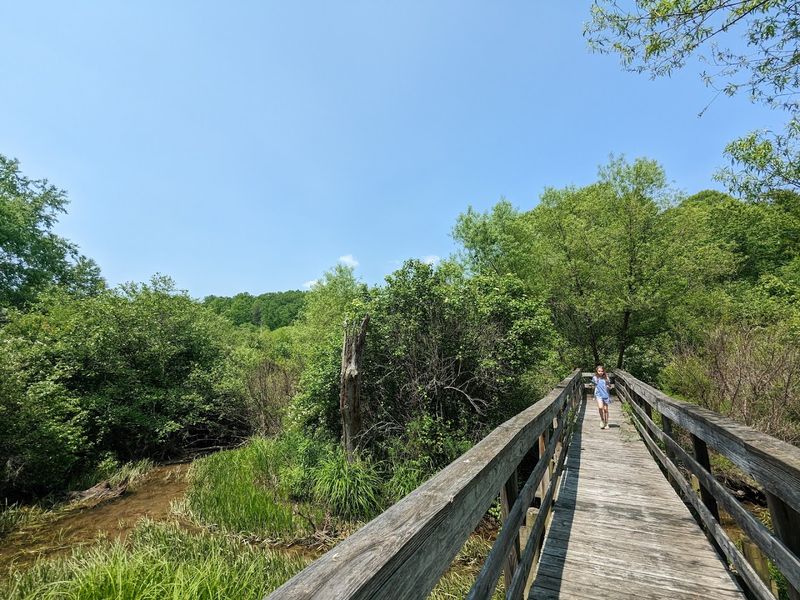 Voted Best Birdwatching Spot In The Blue Ridge Voted Best Birdwatching Spot In The Blue Ridge