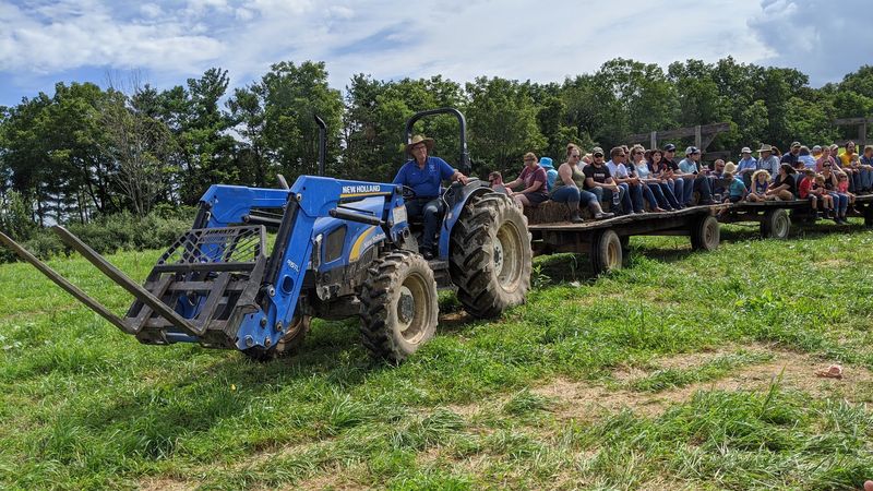 Wagon Rides, Walking Tours, and Getting Up Close