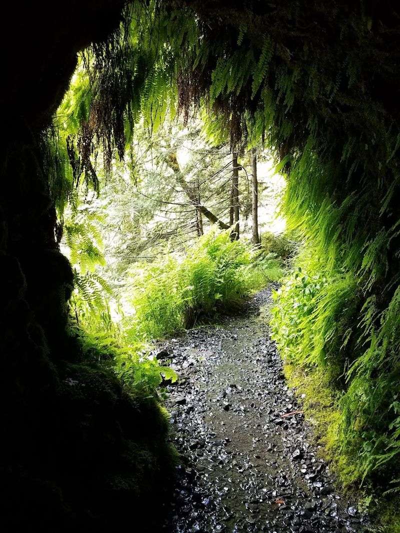 Walking Behind the Falls, What It Actually Feels Like