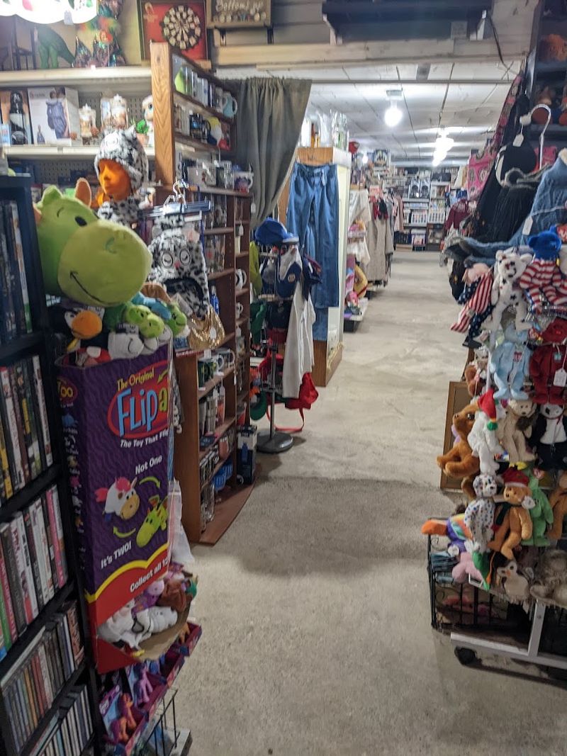Walking Into a World of Organized Chaos